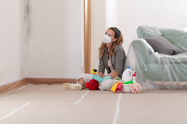 Reliable Mold Cleanup contractor in Moonachie, NJ by Cheap Mold Removal